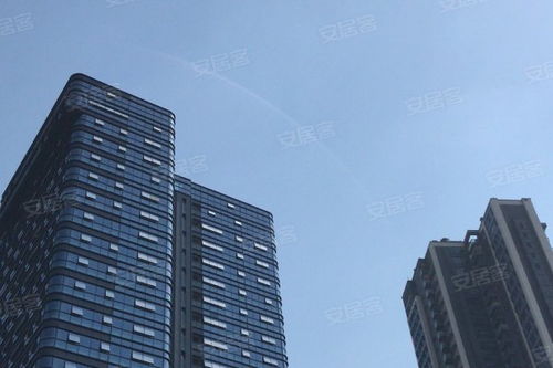 金地壹粵府綜合評(píng)析 優(yōu)勢(shì)、不足與市場(chǎng)口碑